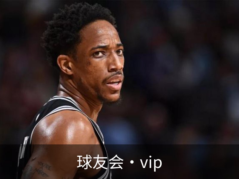 球友会·vip概况